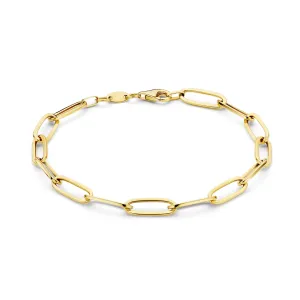 Aidee Odile 14 karat gold link bracelet