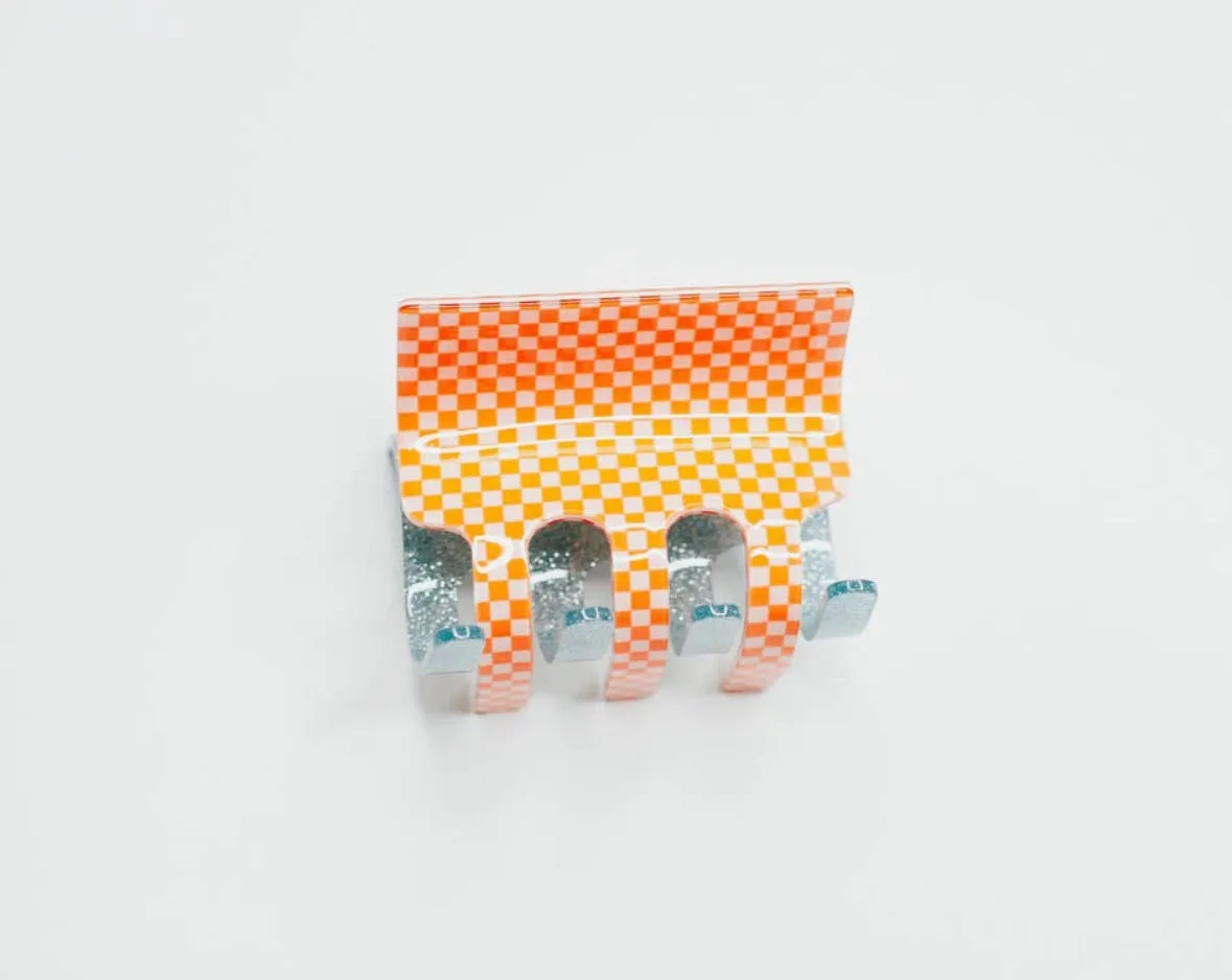 Take a Check Hair Clip